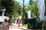 ඩෙංගු රෝගීන් 55,000 පනී - මරණ 32 දක්වා ඉහළට