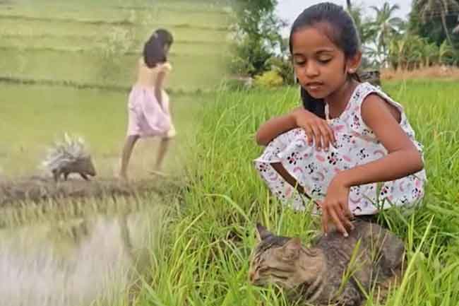 ලොවේ ආදරය දිනූ ශ්‍රේතා සහ ඇගේ ඉත්තෑ මිතුරා