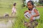 ලොවේ ආදරය දිනූ ශ්‍රේතා සහ ඇගේ ඉත්තෑ මිතුරා