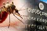 ඩෙංගු වැඩි වුණොත් සරසවි වැසෙන ලකුණු?