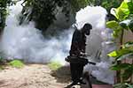 අධි අවදානම් කලාප 23ක විශේෂ ඩෙංගු මර්දන මෙහෙයුමක් අද සිට