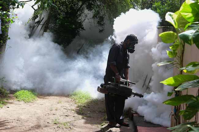 අධි අවදානම් කලාප 23ක විශේෂ ඩෙංගු මර්දන මෙහෙයුමක් අද සිට