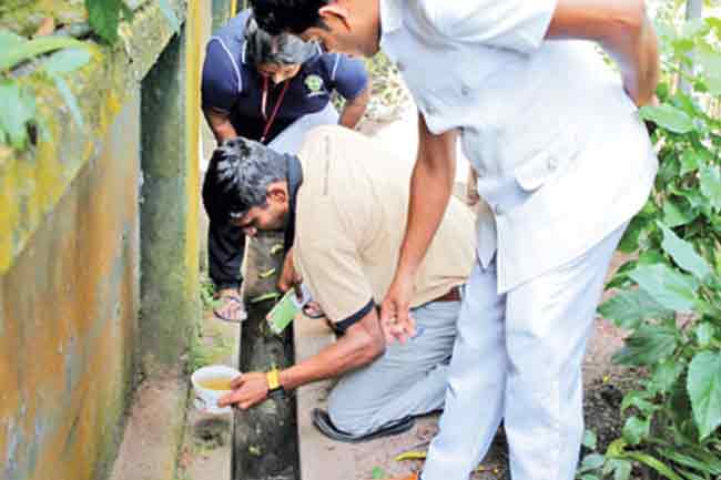 ඩෙංගු මදුරුවන් බෝවන ස්ථාන ගැන දැනුම් දෙන්න විශේෂ දුරකථන අංකයක්