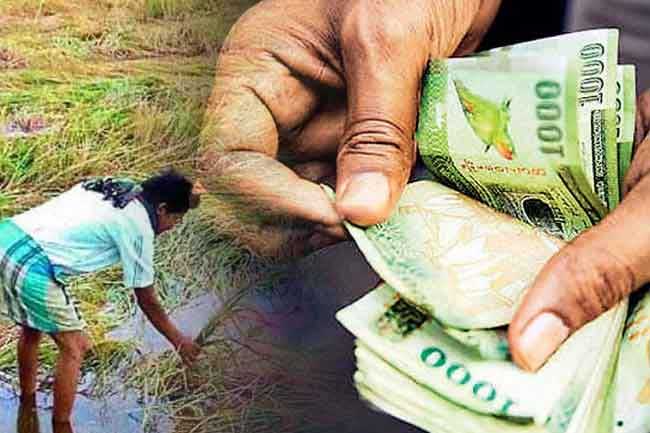 දිට්වා නිසා හානි වූ ගොවීන් 202,025කට වන්දි ගෙවා අවසන්