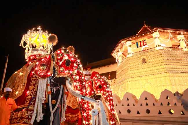 මහනුවර ඇසළ පෙරහැර මංගල්‍යයේ කප් සිටුවීම අගෝස්තු 13