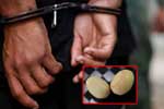 ගජමුතු 2ක් සමඟ සැකකරුවන් තිදෙනෙකු කොටු වෙයි