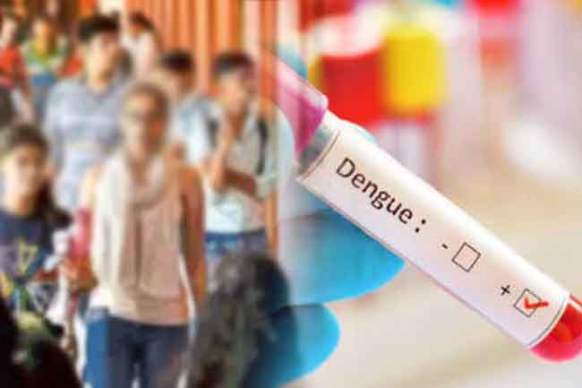 කොළඹ විශ්වවිද්‍යාලයේ සිසුන් 71කට ඩෙංගු - සතියකට දේශන ඔන්ලයින් ක්‍රමයට
