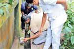බස්නාහිර පළාතේ ඩෙංගු රෝගීන් 35,000ට ආසන්න වෙයි
