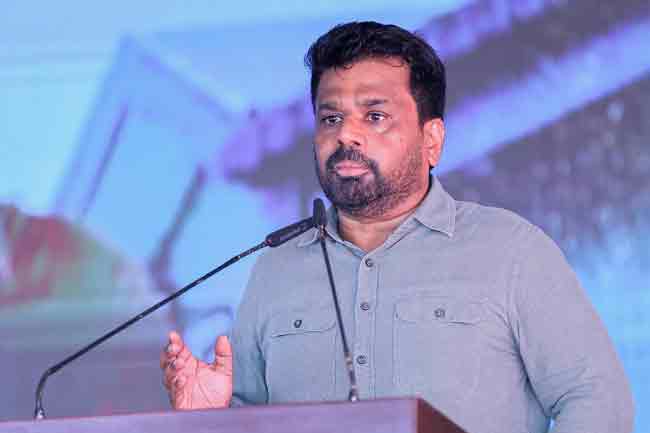 සහල්වලින් අතුරු නිෂ්පාදන සිදුකරන්න රජය සැරසෙයි