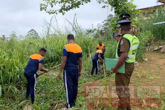 ඩෙංගු මර්දන වැඩසටහනක්