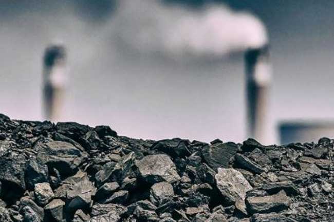 බාල ගල්අඟුරු ආනයනය සම්බන්ධයෙන් ගොනුකළ පෙත්සමක් සලකාබැලීමට දිනදෙයි