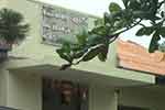 බලපිටිය මහාධිකරණයෙන් විත්තිකරුවන් දෙදෙනෙකුට මරණීය දණ්ඩනය