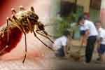 වසරේ මුල් මාස 6ට වැඩිම ඩෙංගු පරිශ්‍ර පාසල්වලින්