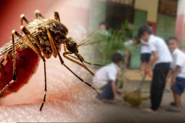 වසරේ මුල් මාස 6ට වැඩිම ඩෙංගු පරිශ්‍ර පාසල්වලින්