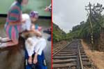 සුදු කතගේ මරණාසන්න සෙල්ෆිය