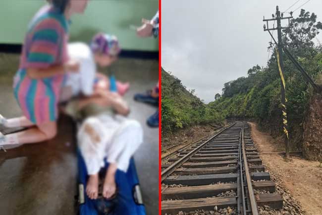 සුදු කතගේ මරණාසන්න සෙල්ෆිය