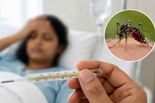 ඩෙංගු රෝගීන් 76,000 පනී 