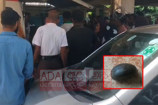 විෂ සහිත ඇට වර්ගයක් ආහාරයට ගත් සිසුන් 22ක් රෝහලට