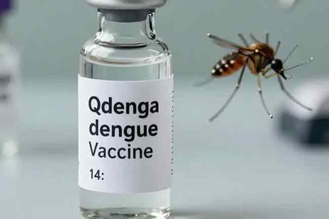 ඉන්දියාව සිය පළමු ඩෙංගු එන්නත අනුමත කරයි