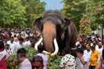 අතුපන්දලම චාරිත්‍රය එක්වූ වාසනා මඟුලැතු 