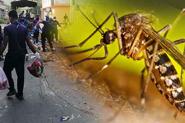 ඩෙංගු තවදුරටත් අවදානමේ - ඇමති නලින්ද කියයි