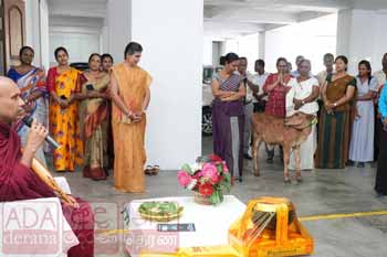 අධිකරණ අමාත්‍යාංශයෙන් මරණයට කැපවූ ගවයෙකුට ජීවිත දානය