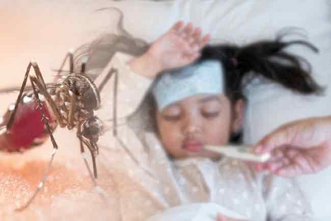 උණ වැළදුණු ළමුන් නිසි වෛද්‍ය ප්‍රතිකාර සඳහා යොමු කරන්නැයි සෞඛ්‍ය අංශවලින් දැනුම්දීමක්