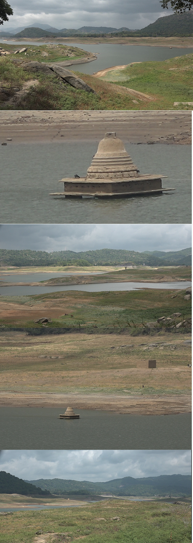 වියැලුණු වික්ටෝරියාව