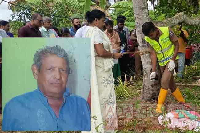 ඇතෙකුගේ පහරදීමෙන් අවාසනාවන්ත ලෙස මියගිය දෙදරු පියා