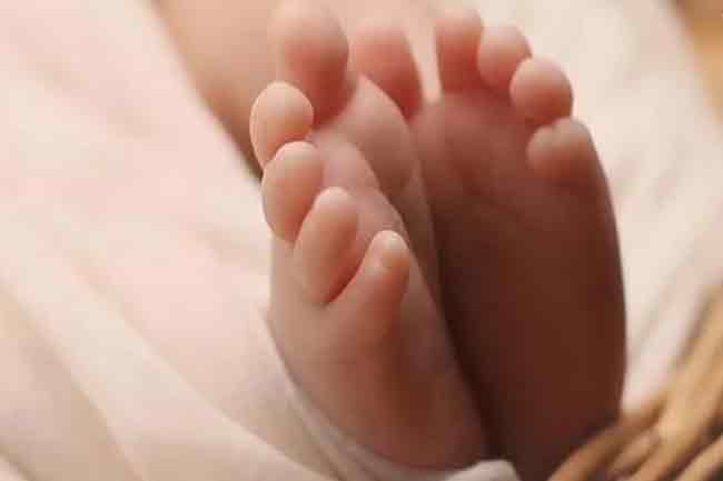 සිඟිත්තියට මරු කැඳවූ ඔංචිල්ලා කණුව