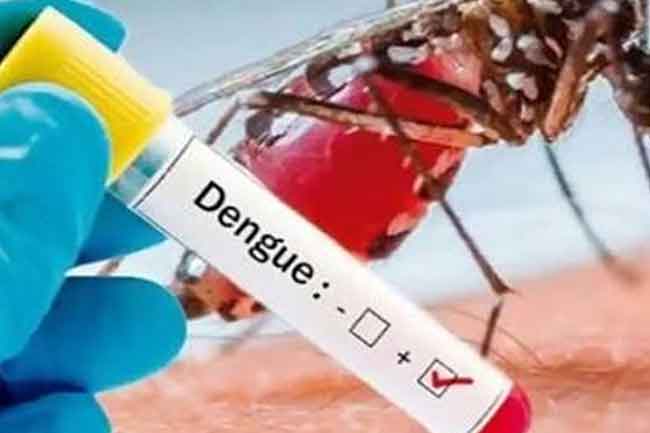 ඩෙංගු රෝගීන් 84,000 ඉක්මවයි