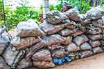 හක් බෙල්ලන් තොගයක් සමඟ දෙදෙනෙක් අත්අඩංගුවට 