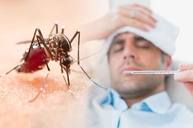 වසරේ මේ දක්වා කාලය තුළ ඩෙංගු රෝගීන් 86,000ක්