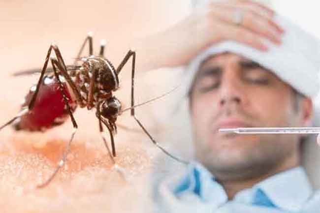 ඩෙංගු රෝගීන් 87,000ට ළංවෙයි