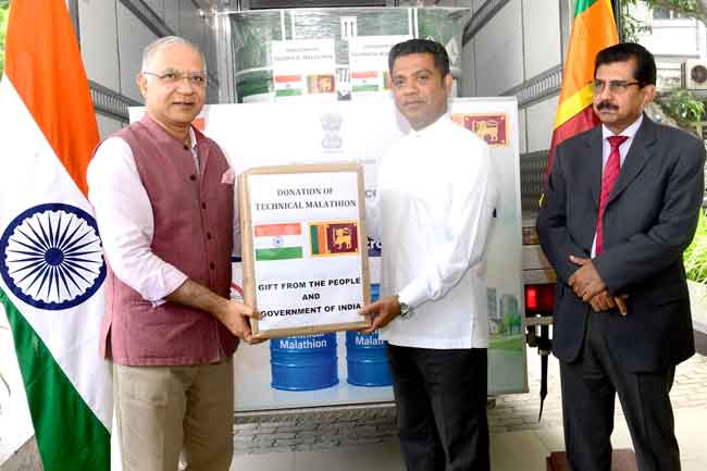 ඉන්දියාවෙන් මෙරට ඩෙංගු මර්දනයට මැලතියන් තොගයක පරිත්‍යාගයක්