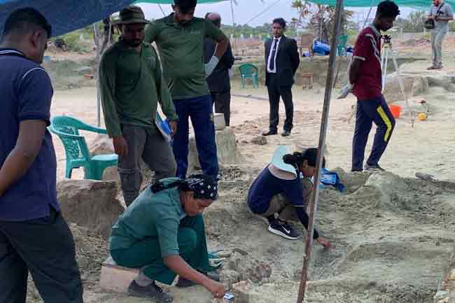චෙම්මනි සමූහ මිනිවළෙන් මිනිස් සිරුරු 501කට අදාළ අස්ථි කොටස් ගොඩගනී