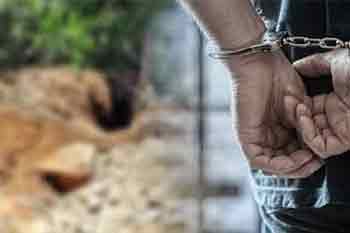 පුරාවස්තු සොයා කැනීම් කළ අයෙක් අත්අඩංගුවට