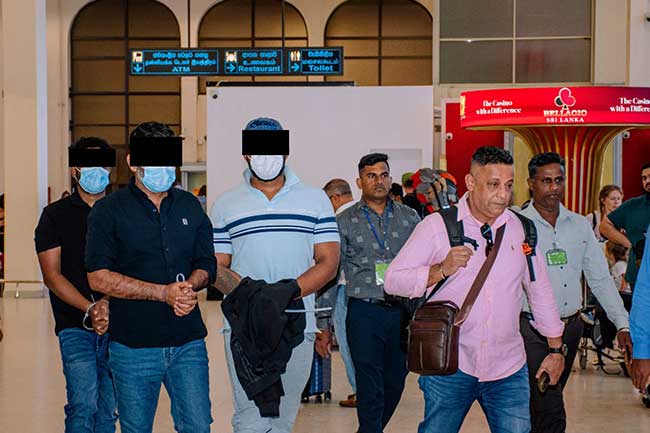 රත්මලානේ සයිමාගේ පැටිකිරිය