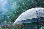 අදත් හවසට තැන තැන ගිඟුරුම් සහිත වැසි