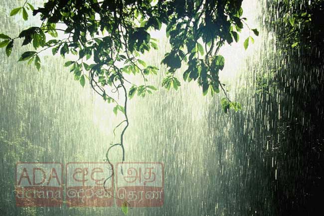 අදත් සවස 2න් පසු තැන තැන වැසි 