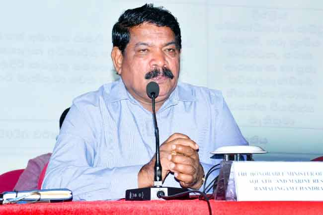 මුහුදු කොල්ලකරුවන්ගේ තර්ජනවලට තිත තබන බවට ධීවර ඇමතිගෙන් සහතිකයක්