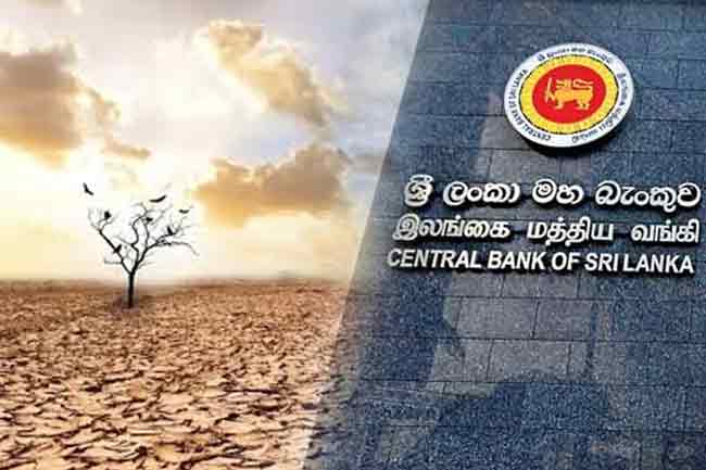 එල් නිනෝ නිසා ආර්ථික වර්ධනයට බලපෑම් එල්ල වීමේ අවදානමක්