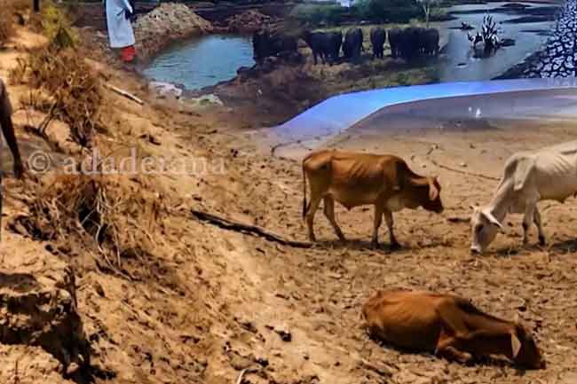 නියඟයේ සැර දැඩිවෙයි - වැව් සිඳීයාමේ අවදානමක
