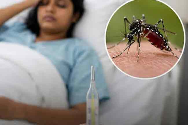 ඩෙංගු රෝගීන් ගණන 92,000 ඉක්මවයි