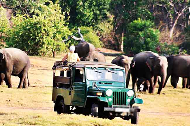 ජාතික උද්‍යාන ආශ්‍රිතව සංචාරක කළමනාකරණ වැඩපිළිවෙළක්