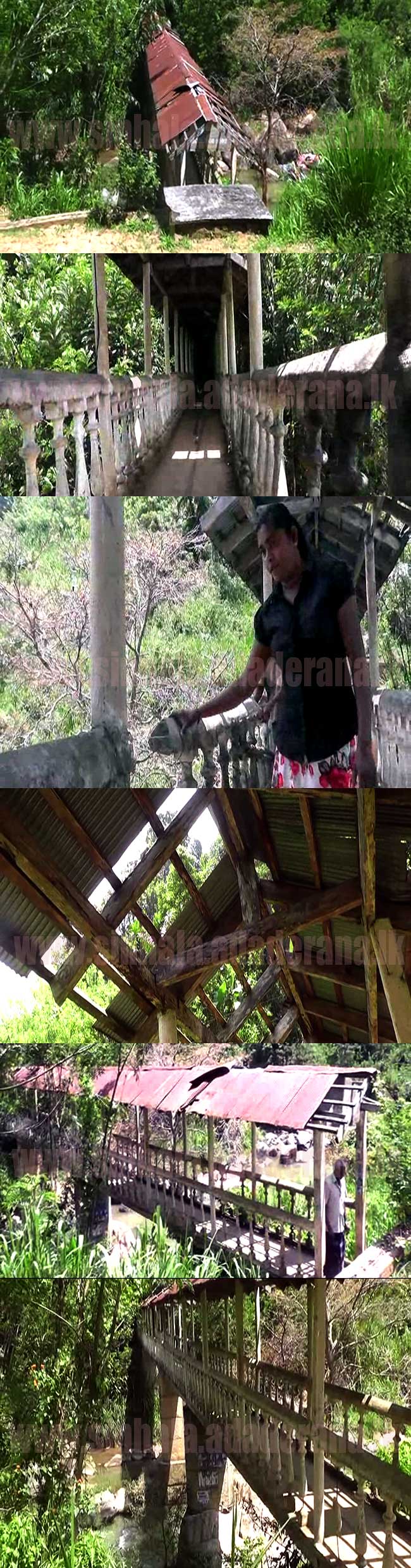 ජීවිතයක් අහිමි වීමට පෙර කළ යුතු දෙයක් මෙන්න(ඡායාරූප සහිතයි)