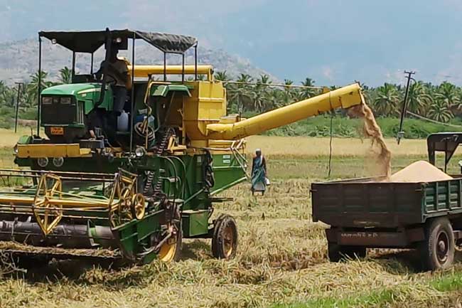 இராணுவத்தின் ஒத்துழைப்புடன் 32 இலட்சம் கிலோ நெல் கொள்வனவு