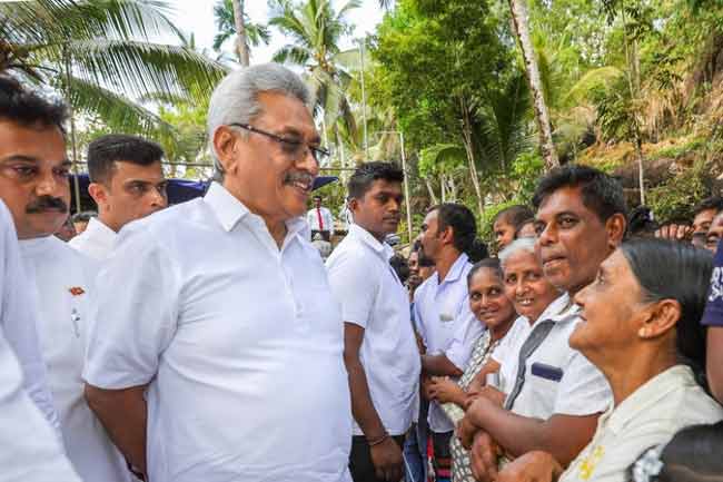 எண்ணெய்ப்பனை பயிரிடுவதை நிறுத்துவதற்கு நடவடிக்கை எடுக்குமாறு அதிகாரிகளுக்கு பணிப்புரை