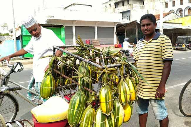 அதிக வெப்பம் காரணமாக இளநீர், தோடை, வெள்ளரிப்பழ விற்பனை சூடுபிடிப்பு