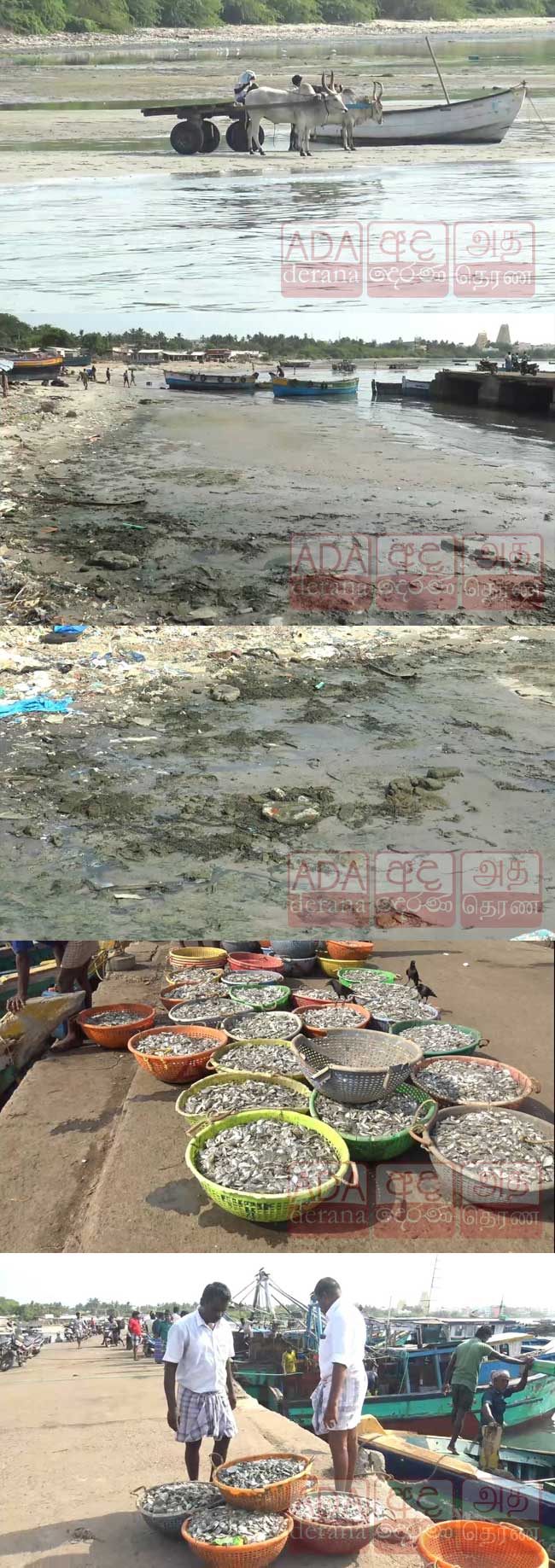  உள்வாங்கிய கடல் - அச்சத்தில் மீனவர்கள்! 